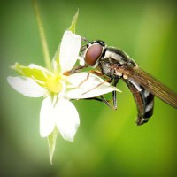 /album/datas-filmek/photolia-a02-jpg/