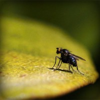 /album/datas-filmek/photolia-a07-jpg/